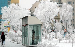 Erzurum'da kartposlallık görüntüler