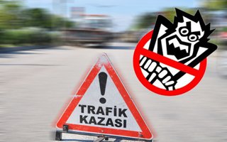 TÜİK trafik kazası istatistiklerini paylaştı