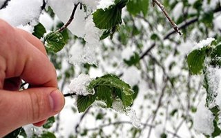 Meteoroloji'den Erzurum için 'zirai don' uyarısı