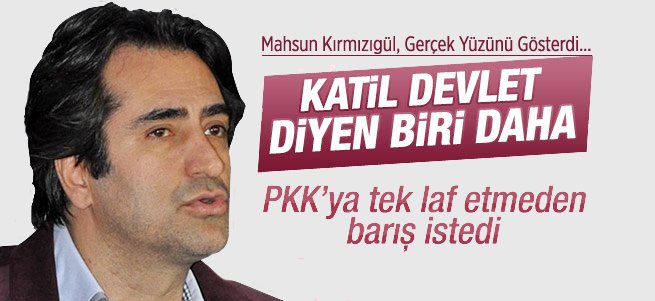 Mahsun Kırmızıgül 'devlet katlediyor' dedi