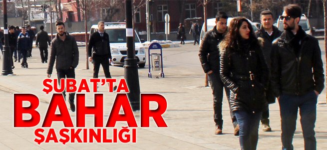 Erzurum'da Şubat'ta Bahar Havası Şaşkınlığı