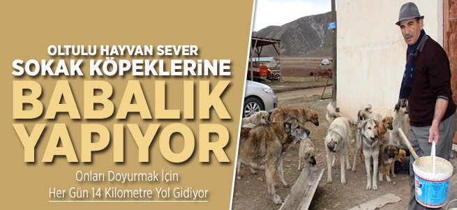 12 Yıldır Sokak Köpeklerine Bakıyor