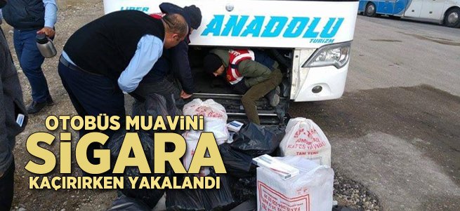 Otobüs Muavini Sigara Kaçırırken Yakalandı