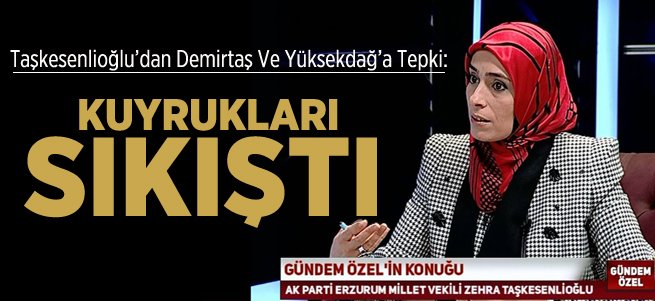 Taşkesenlioğlu'ndan HDP'li Vekillere Tepki