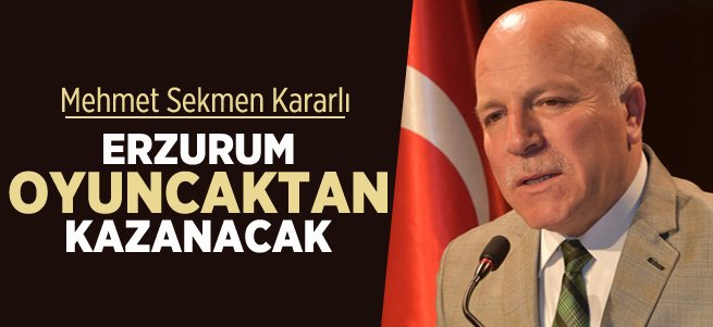 "Erzurum Oyuncak Üretim Merkezi İçin İdeal"