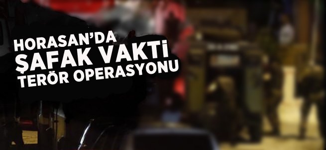 Horasan'da Terör Operasyonu: 10 Gözaltı