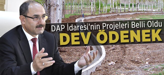 DAP İdaresi'nden Bölgeye Dev Ödenek