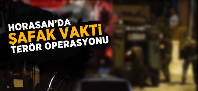 Horasan'da Terör Operasyonu: 11 Gözaltı