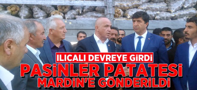 Pasinler Patatesi Mardin'e Gönderildi