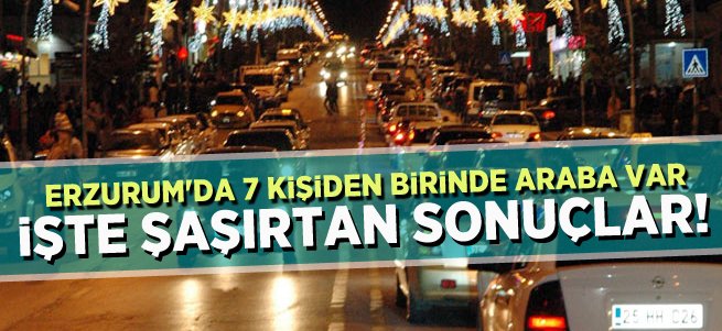 Erzurum'da 7 Kişiye Bir Araç Düşüyor