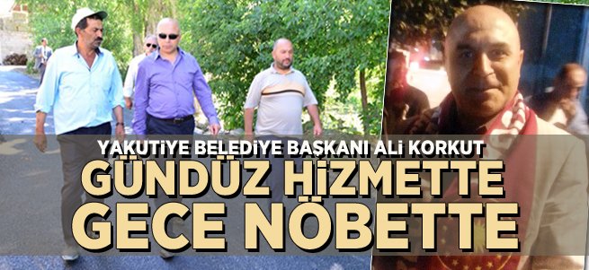 Başıboş hayvanlar tehlike saçıyor