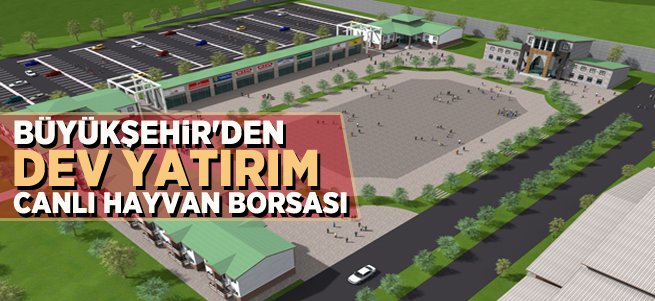 Büyükşehir’in dev yatırımı canlı hayvan borsası