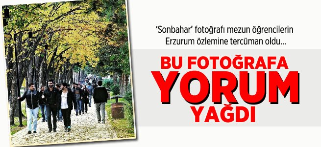 Sonbahar fotoğrafına yorum yağdı