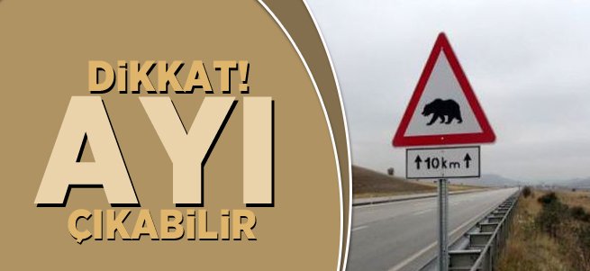 Bu yolu geçerken Ayı çıkabilir tabelasına dikkat!