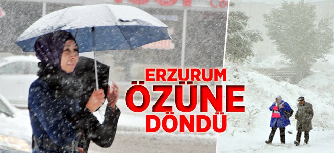 Erzurum'da kar yağışı etkili oluyor