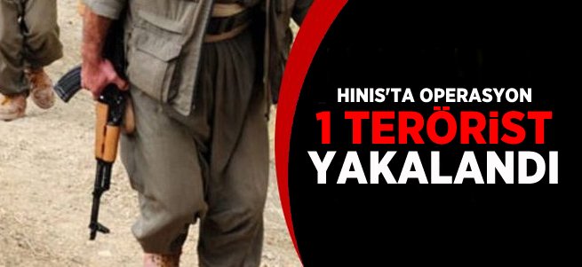 Hınıs’ta 1 PKK’lı terörist yakalandı