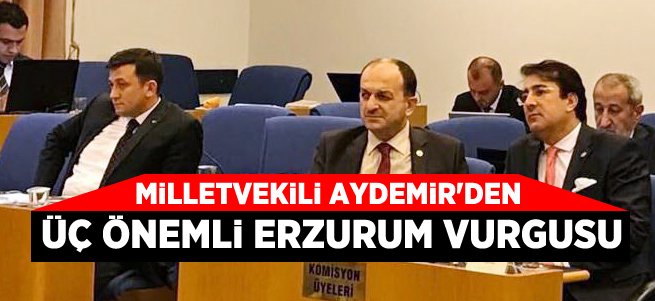 Aydemir’den 3 önemli Erzurum vurgusu 