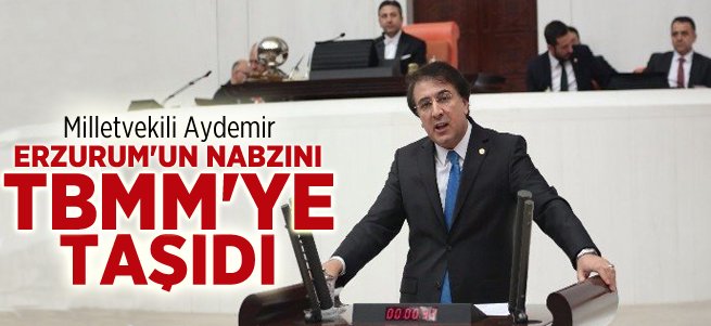 Aydemir Erzurum’un nabzını TBMM’ye taşıdı