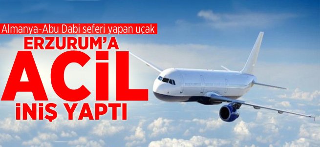 Abu Dabi uçağı Erzurum'a acil iniş yaptı