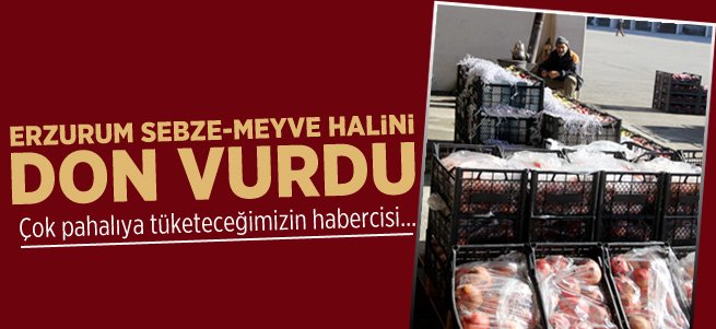 Erzurum Halinde meyve ve sebzeler dondu