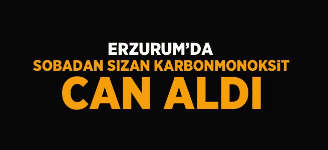 Sobadan sızan karbonmonoksit can aldı: 2 ölü