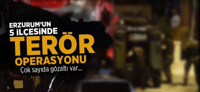 Erzurum'un 5 ilçesinde terör operasyonu