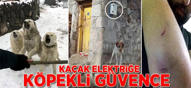 Sayaç okutmamak için köpekleri kullanıyorlar