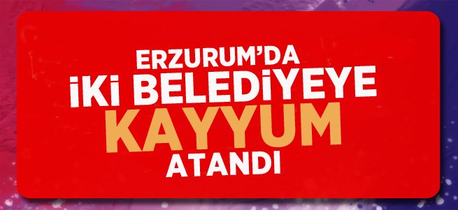 Erzurum'da iki belediyeye kayyum atandı