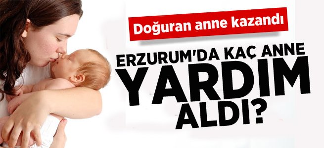 20 bin 890 anneye doğum yardımı yapıldı