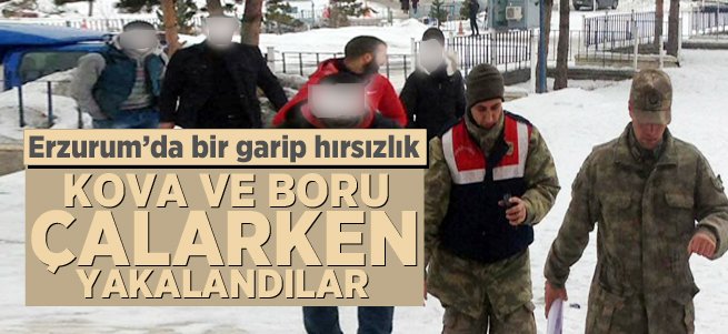 Pasinler'de bir garip hırsızlık!