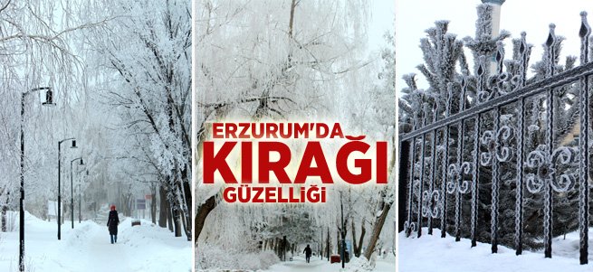 Erzurum'da kırağı güzelliği