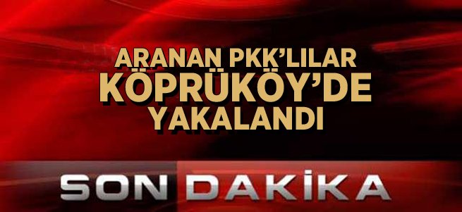 Aranan PKK'lılar Köprüköy'de yakalandı