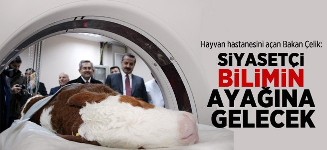 Bakan Çelik Erzurum'da hayvan hastanesini açtı