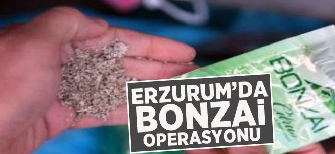 Erzurum’da bonzai operasyonu