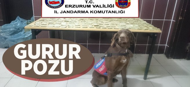 Toprağa gömülü uyuşturucuyu buldu