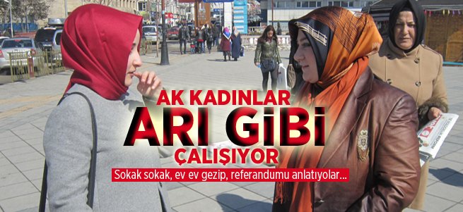 AK kadınlar ev ev gezip referandumu anlatıyor