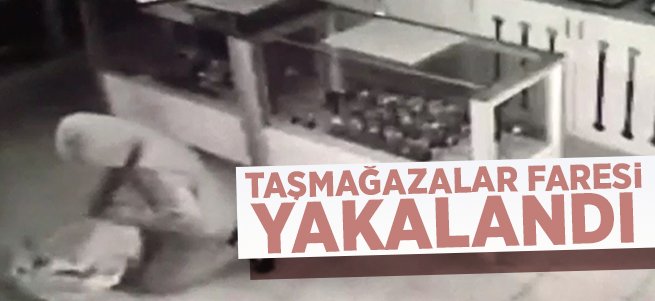 Taşmağazaları faresi kıskıvrak yakalandı