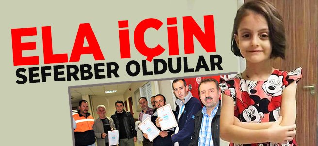 Erzurum küçük Ela için seferber oldu