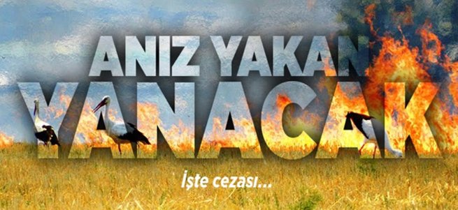 Vatandaşlara 'Anız' Uyarısı! Yakan Yanacak...