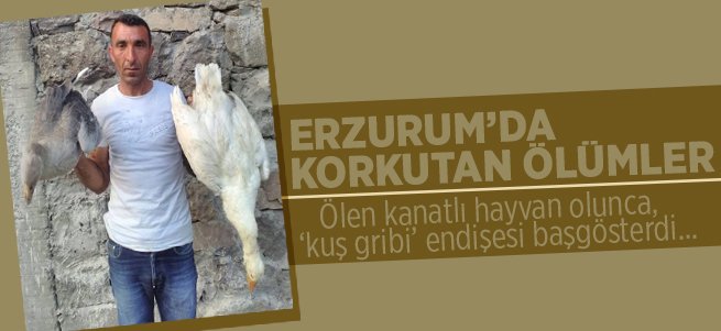 Erzurum'da korkutan ölümler!