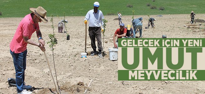 Gelecek İçin Yeni Umut Meyvecilik