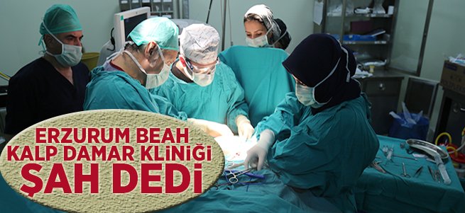 Erzurum BEAH Kalp Damar Kliniği Şah Dedi 