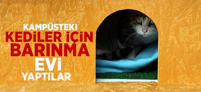 Üniversite öğrencilerinden ısıtan çalışma