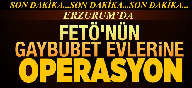 FETÖ’nün "gaybubet" evlerine operasyon