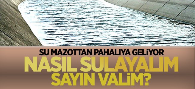 'Su mazottan pahalıya geliyor nasıl sulayalım?'