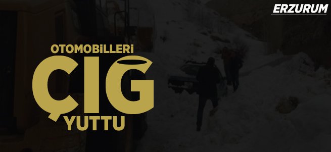 Erzurum’da 3 otomobil çığ altında kaldı 