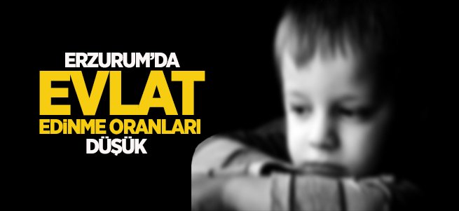 Erzurum'da evlat edinme oranları düşük