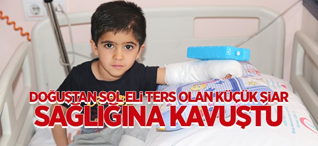 Küçük Şiar sağlığına kavuştu