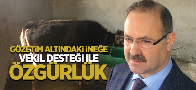 Eğitimciler Almanya ve Finlandiya'ya gitti