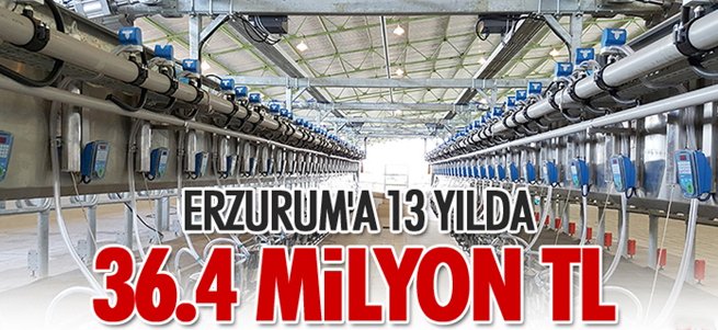 Erzurum'a 13 yılda 36.4 milyon TL destek